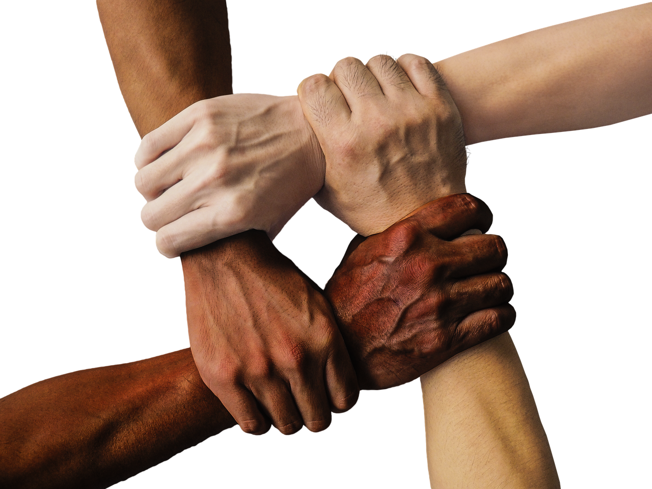 Are Social Media Friends Real Friends? A Look at Digital Friendships